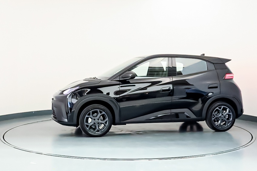 BYD DOLPHIN SURF BOOST
