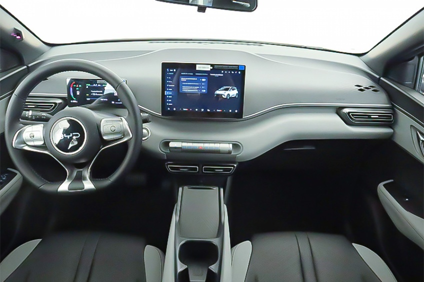 BYD DOLPHIN SURF BOOST