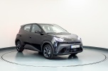 BYD DOLPHIN SURF BOOST