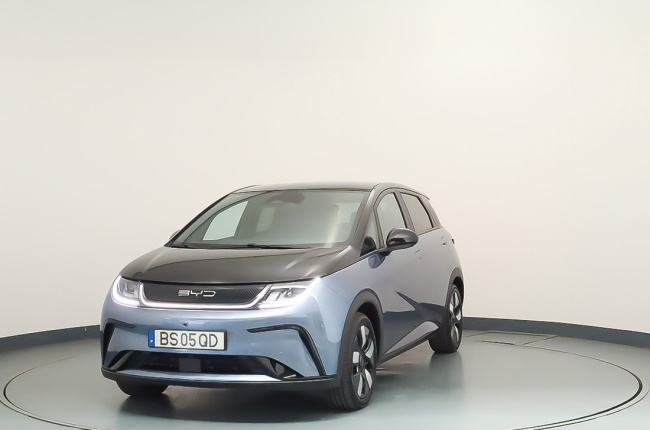 BYD Dolphin Design