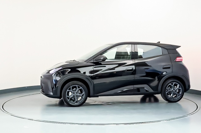 BYD DOLPHIN SURF BOOST