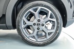 BYD DOLPHIN SURF BOOST
